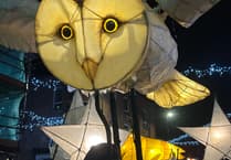 Eisteddfod-themed lanterns light up Cardigan