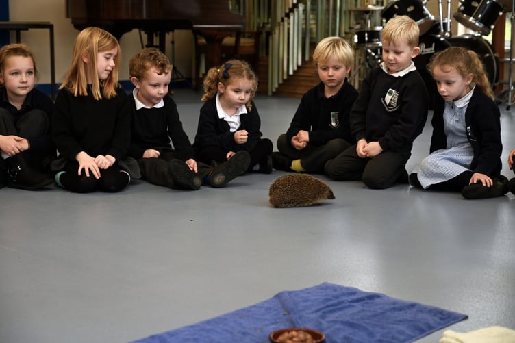 Pembrokeshire Hogspital workshop