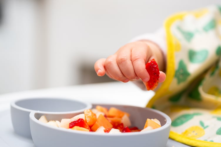 Macro Close up of Baby Hand with a Piece of Fruits Sitting in Child's Chair Kid Eating Healthy Food