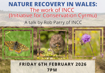 Nature Recovery: INCC speaks at Llanteg event