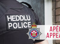 Police seek witnesses to Pembroke vehicle fire