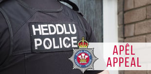 Police seek witnesses to Pembroke vehicle fire