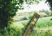 Join free Wildlife Recording Session in Kilgetty this February