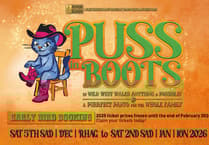 Schools urged to book Torch panto Puss in Boots