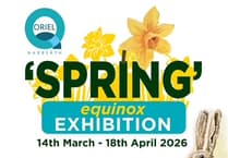 Oriel Q opens new exhibition on Saturday