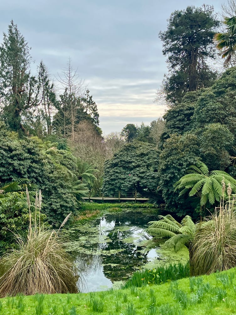The Lost Gardens of Heligan