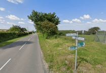 Join West Wales Wild Watch for spring wildlife fun