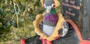 Penally Yarn Bombers decorate village
