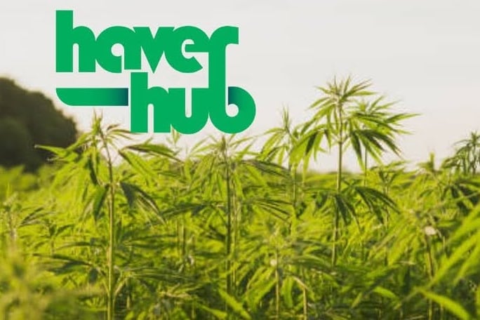 Hemp Hustings poster