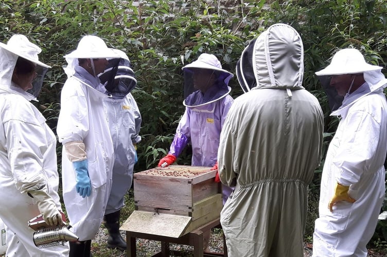 Three beekeeping taster sessions have been planned at Scolton Manor
