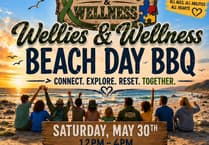 Join Freshwater East Beach Clean & BBQ!