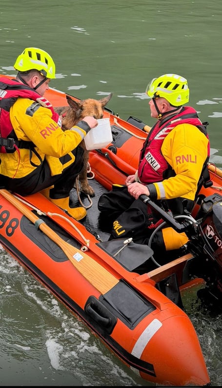 The lifeboat’s inflatable Y boat was deployed and two crew members proceeded to recover the dog.