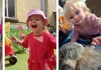 Noah’s Ark Nursery shines in inspection report