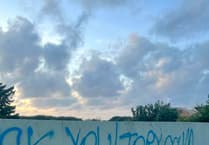 Johnston graffiti slammed as 'shameful'