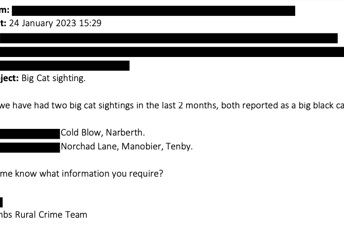 Big cat sightings
