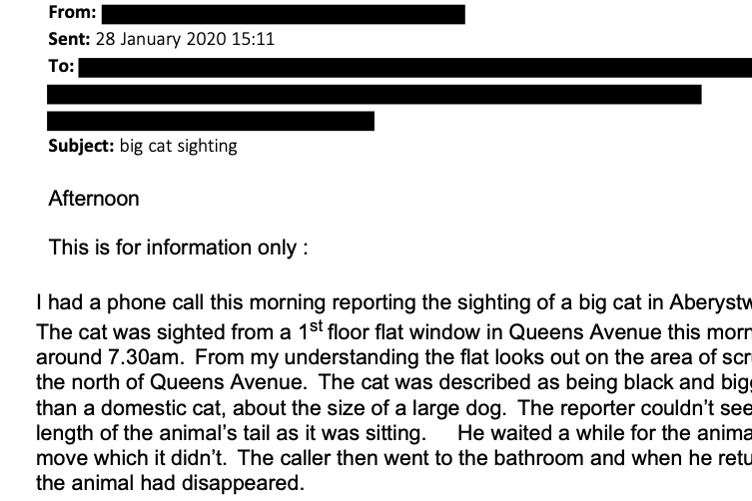 big cat sightings