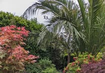 New Hedges WI defies weather for garden gathering