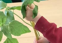 Saundersfoot Playgroup: The fun keeps on growing!