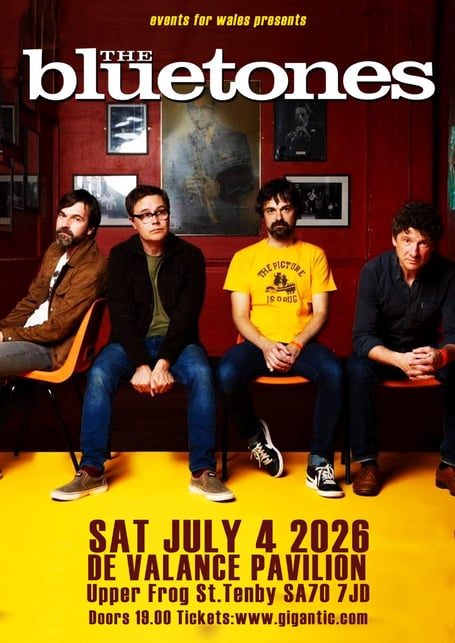 The Bluetones at the De Valence, Tenby