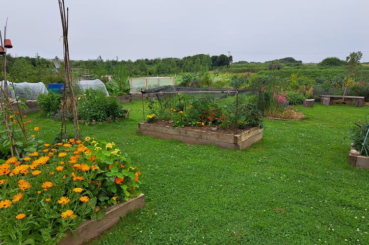 Manorbier Community Garden