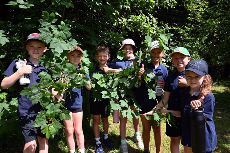 Exploring the Welston grounds