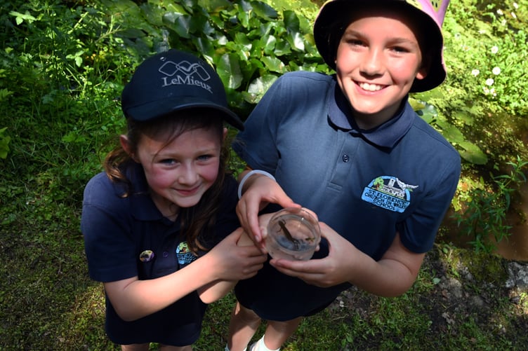 St Florence pupils with a palmate newt from the pond Welston Challenge
