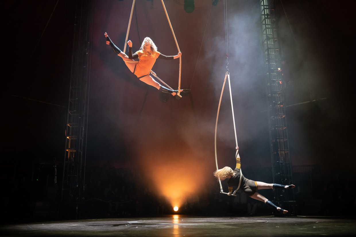 Aerial performers in NoFit State Circus CARNATION