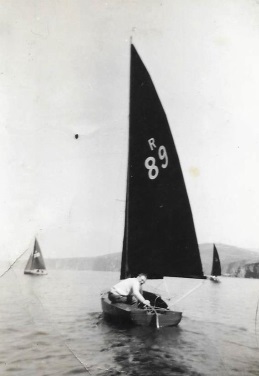 Stormy Petrel - Charles Birt