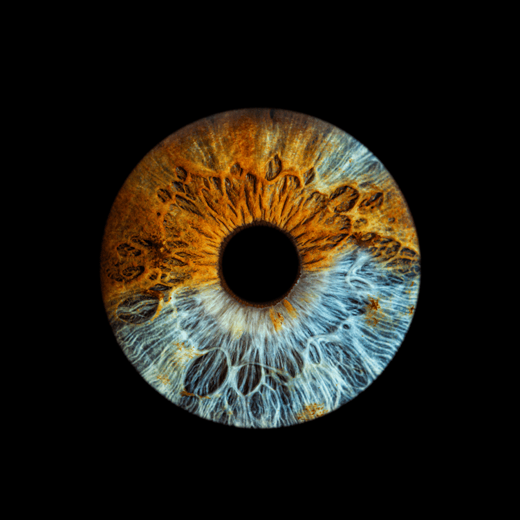 Iris photography